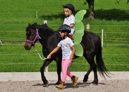 Foto 26.08.17, 11 00 35