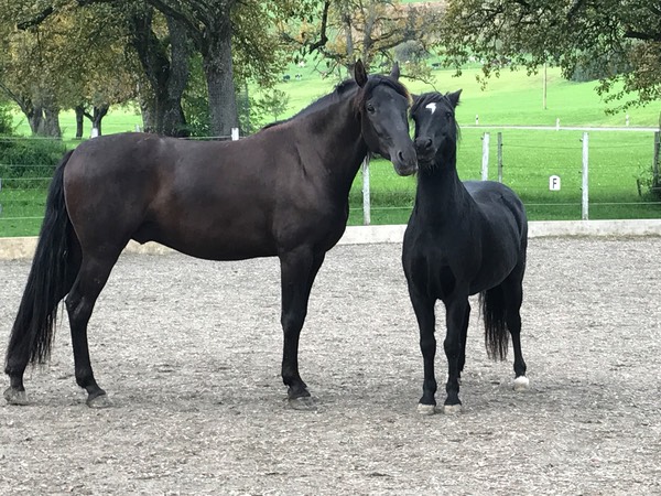 Foto 27.09.17, 09 27 54
