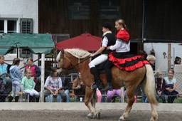 IMG_4135