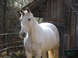 P3150024
