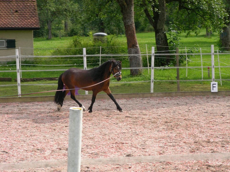 SANY0053
