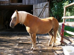 SANY0230